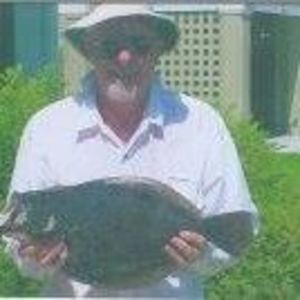 Meet your Posher, Hampton